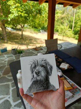IMG20260729133810